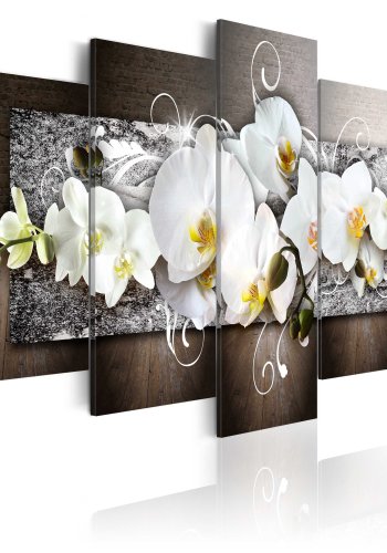 Billede - Flower of innocence