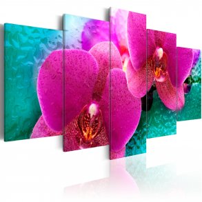 ARTGEIST Exotic orchids - Billede af magenta orkidé trykt p lrred - Flere strrelser