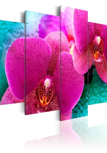 ARTGEIST Exotic orchids - Billede af magenta orkidé trykt p lrred - Flere strrelser