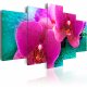 ARTGEIST Exotic orchids - Billede af magenta orkidé trykt p lrred - Flere strrelser