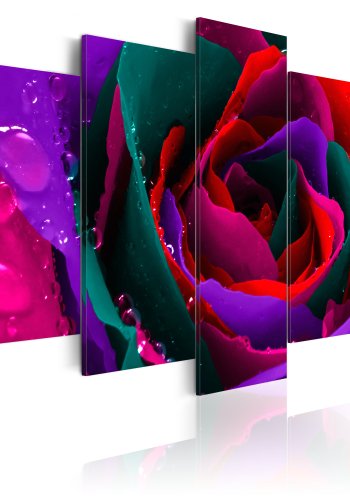 ARTGEIST Multicoloured rose - Farverig rose trykt p lrred - Flere strrelser