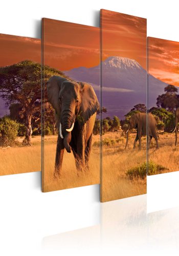 ARTGEIST Africa: Elephants - Billede fra den afrikanske savanne trykt p lrred - Flere strrelser