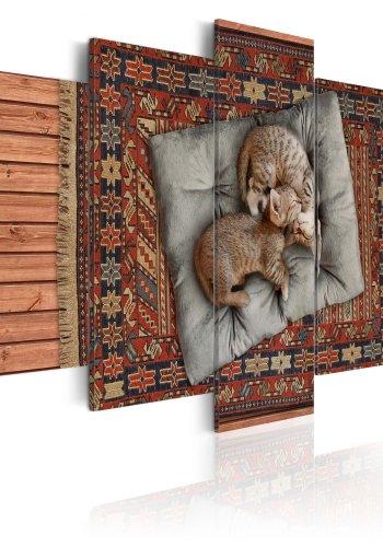 ARTGEIST Soft kitty - Billede af kattekillinger der sover trykt p lrred - Flere strrelser