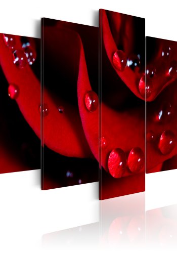 ARTGEIST Rose with dew - Billede af rd rose med drber trykt p lrred - Flere strrelser