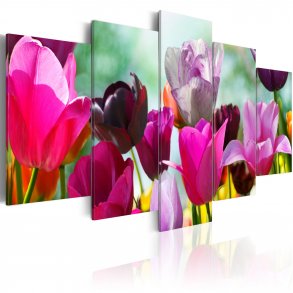 ARTGEIST Pink fun - Billede af lyserde tulipaner trykt p lrred - Flere strrelser