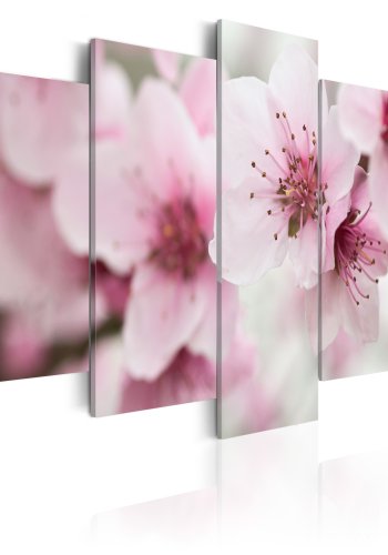 ARTGEIST Cherry gentleness and beauty - Close-up af kirsebrtr trykt p lrred - Flere strrelser