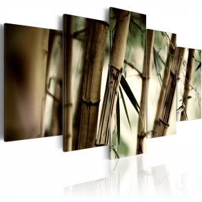 ARTGEIST Asian bamboo forest - Billede fra asiatisk bambusskov trykt p lrred - Flere strrelser 