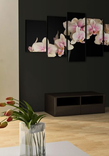 ARTGEIST An orchid on a contrasting background - Creme orkidé trykt p lrred - Flere strrelser