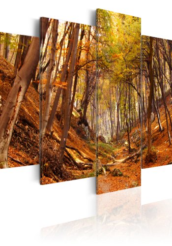 ARTGEIST Orange autumn - Billede i efterrets smukke farver trykt p lrred - Flere strrelser