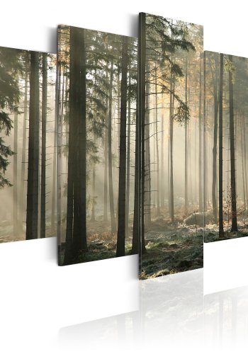 ARTGEIST Light in a dark forest -Billede af sollys i en mrk skov trykt p lrred - Flere strrelser