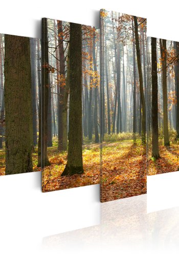 ARTGEIST A nice forest landscape - Billede af skov i efterret trykt p lrred - Flere strrelser