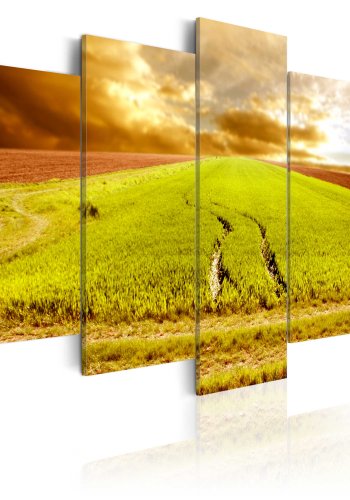 ARTGEIST Wheels traces on a field - Hjulspor p marken trykt p lrred - Flere strrelser