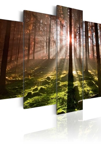 ARTGEIST Autumn silence - Billede af skov i efterrssolen trykt p lrred - Flere strrelser