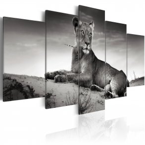 ARTGEIST Lioness in a desert - Sort/hvid billede af lvinde trykt p lrred - Flere strrelser