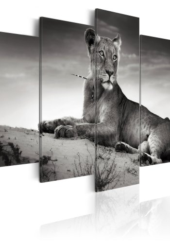 ARTGEIST Lioness in a desert - Sort/hvid billede af lvinde trykt p lrred - Flere strrelser