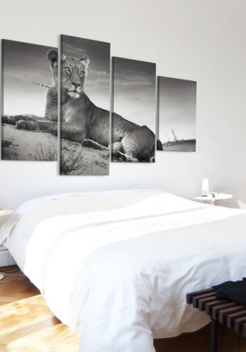 ARTGEIST Lioness in a desert - Sort/hvid billede af lvinde trykt p lrred - Flere strrelser