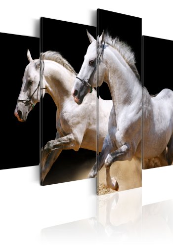 ARTEIST Freedom and power - Billede af to heste i galop trykt p lrred - Flere strrelser