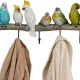 KARE DESIGN Exotic Birds knagerkke, m. 5 knager - multifarvet polyresin og stl