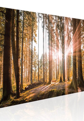 Artgeist Billede af sommermorgen - Magical Autumn, p lrred