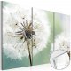 Artgeist billede - Fluffy Dandelions, plexiglas