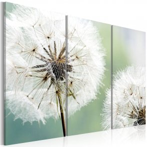Artgeist billede - Fluffy dandelions, lrred og genbrugstr
