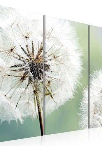 Artgeist billede - Fluffy dandelions, lrred og genbrugstr