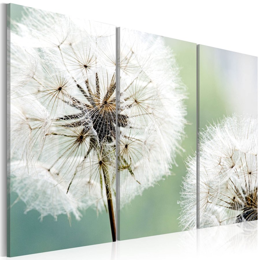 Artgeist billede - Fluffy dandelions, lrred og genbrugstr
