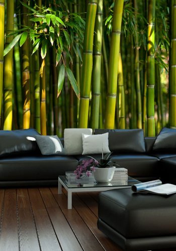 ARTGEIST Fototapet - Asiatisk bambus skov (flere strrelser)
