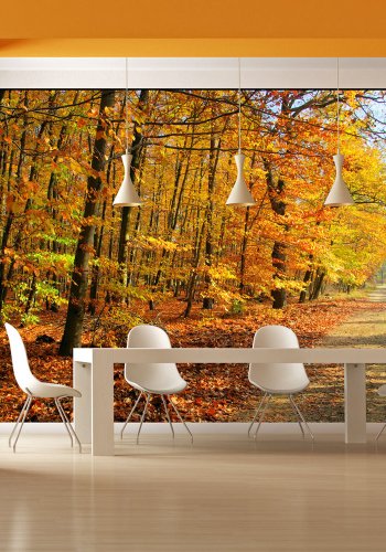 ARTGEIST Fototapet - Beech forest, sti med efterrsblade (flere strrelser)