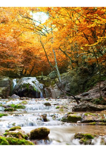 ARTGEIST Fototapet - efterr  - vandfald (flere strrelser)