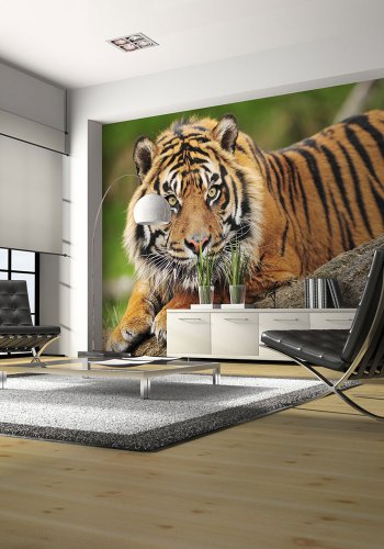 ARTGEIST Fototapet - Sumatra tiger (flere strrelser)