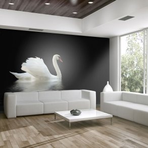 ARTGEIST Fototapet - swan (black and white), Svane (flere strrelser)