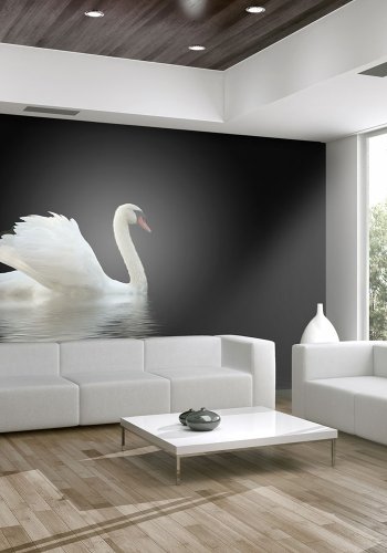 ARTGEIST Fototapet - swan (black and white), Svane (flere strrelser)