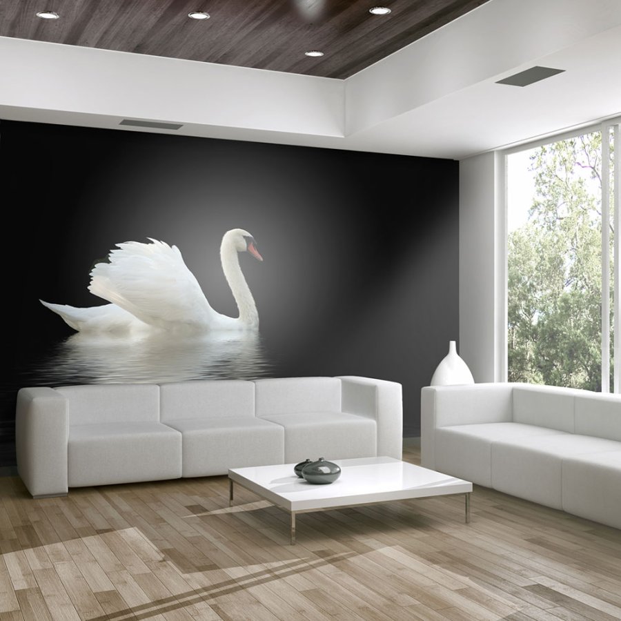 ARTGEIST Fototapet - swan (black and white), Svane (flere strrelser)