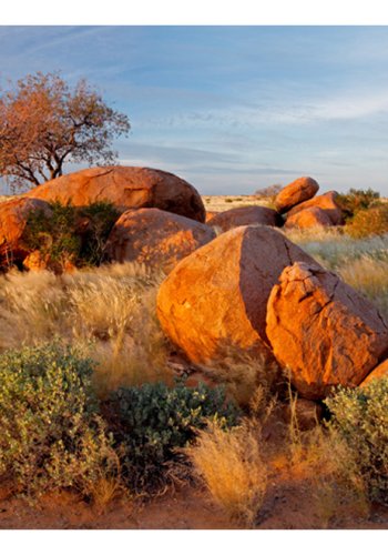 ARTGEIST Fototapet - Afrikansk landskab, Namibia (flere strrelser)