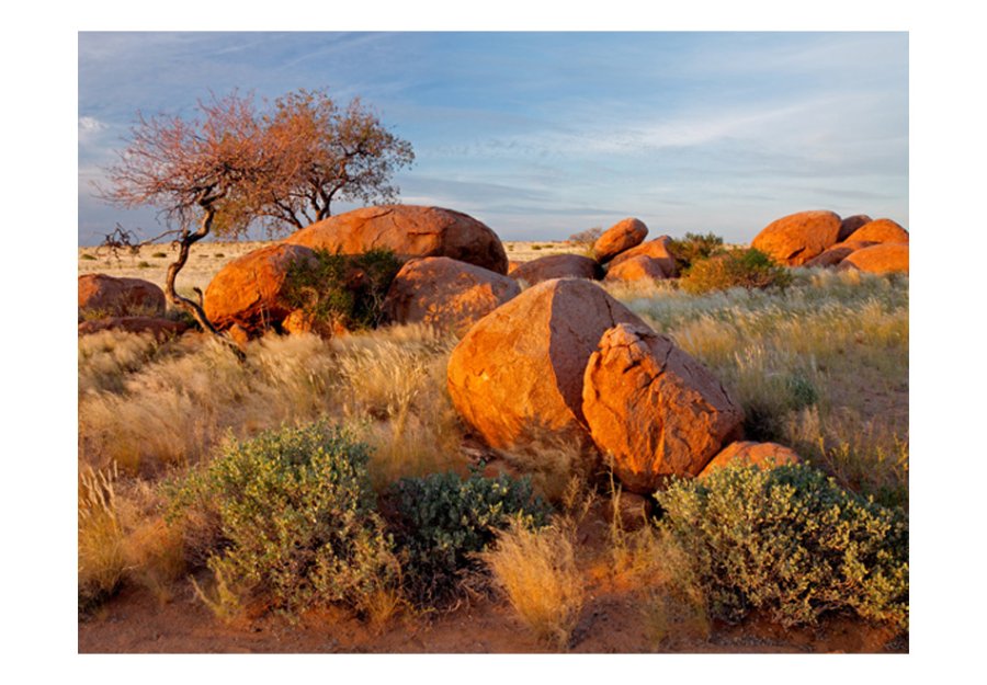 ARTGEIST Fototapet - Afrikansk landskab, Namibia (flere strrelser)