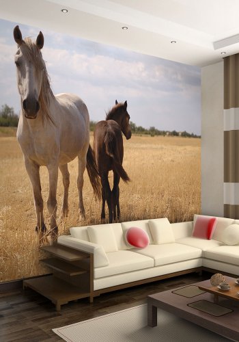 ARTGEIST Fototapet - Horse and foal, hest og fl (flere strrelser)