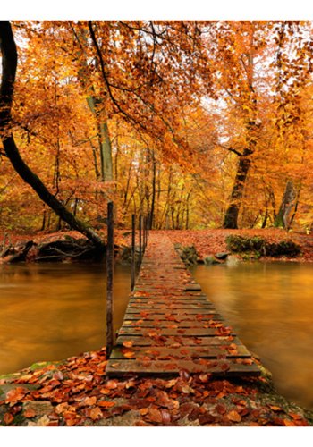 ARTGEIST Fototapet - Autumn, Efterrsbro (flere strrelser) 