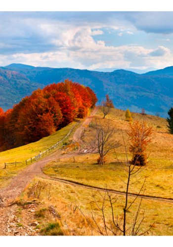 ARTGEIST Fototapet - Efterr landskab i Karpaterne (flere strrelser)