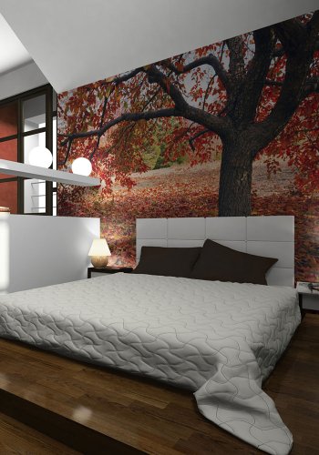 ARTGEIST Fototapet - Tr i efterret (flere strrelser)