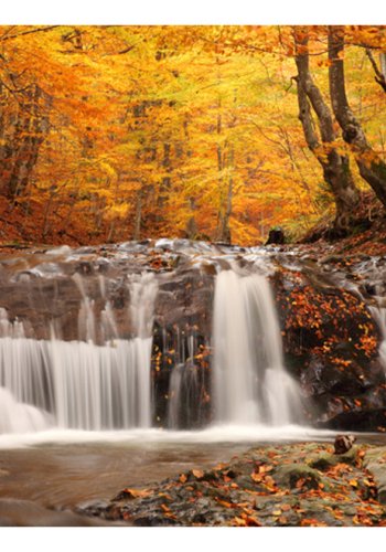 ARTGEIST Fototapet - Autumn landscape : waterfall in forest, vandfald og efterr (flere strrelser)