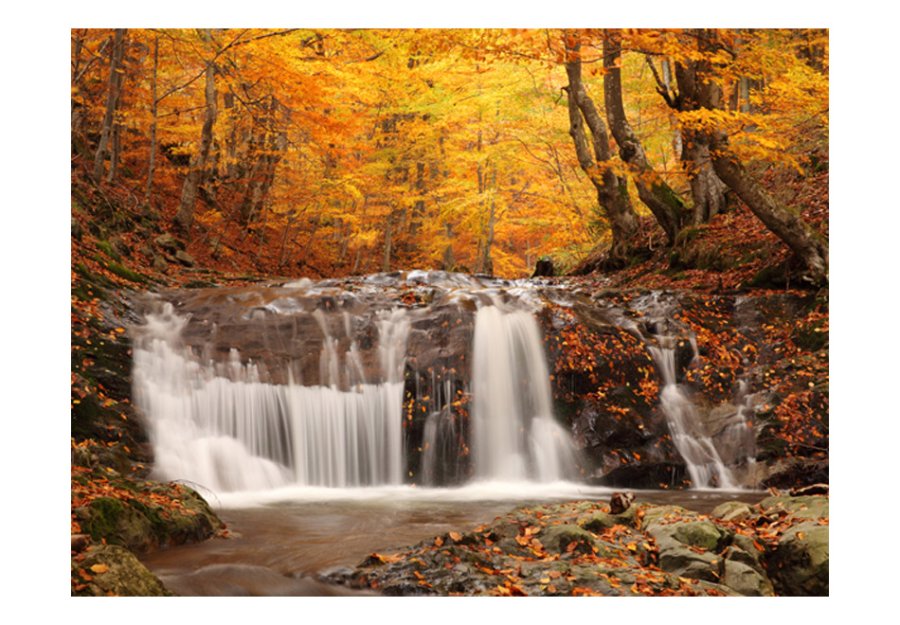 ARTGEIST Fototapet - Autumn landscape : waterfall in forest, vandfald og efterr (flere strrelser)