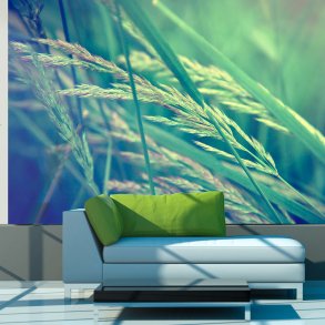 ARTGEIST Fototapet - Cereal field, kornmark (flere strrelser)