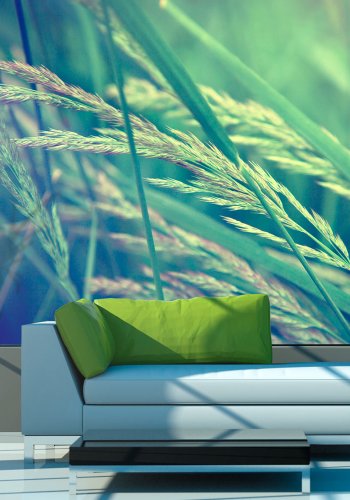 ARTGEIST Fototapet - Cereal field, kornmark (flere strrelser)