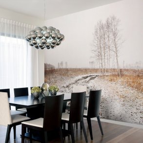 ARTGEIST Fototapet - Winter field, vinter mark (flere strrelser)