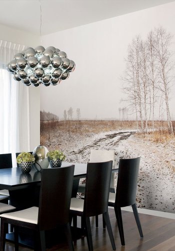 ARTGEIST Fototapet - Winter field, vinter mark (flere strrelser)