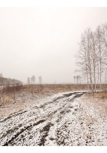 ARTGEIST Fototapet - Winter field, vinter mark (flere strrelser)