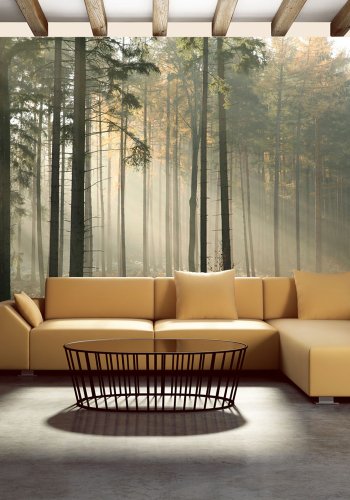 ARTGEIST Fototapet - Foggy November morning, toget morgen (flere strrelser)