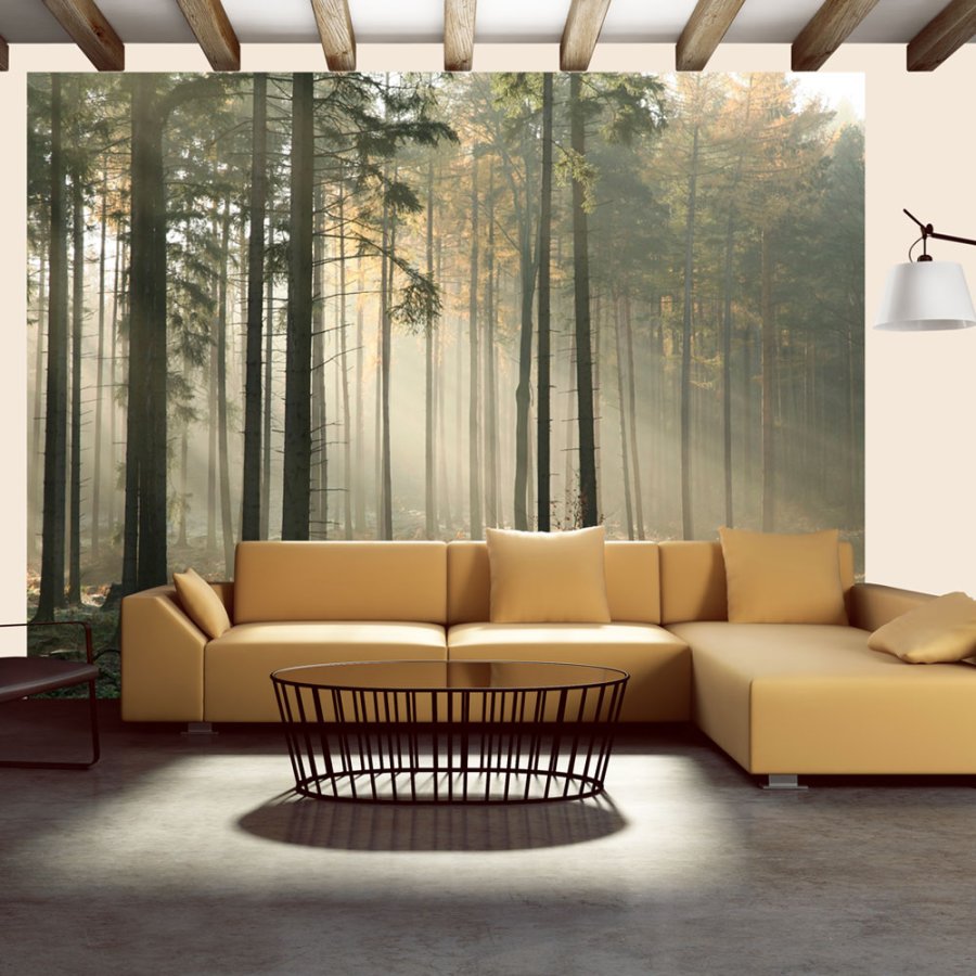 ARTGEIST Fototapet - Foggy November morning, toget morgen (flere strrelser)