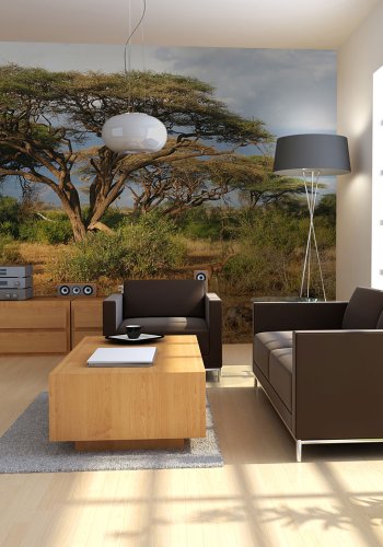 ARTGEIST Fototapet - Samburu, Kenya (flere strrelser)